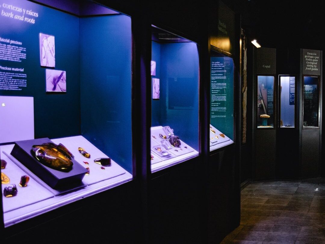 Inside Amber World Museum